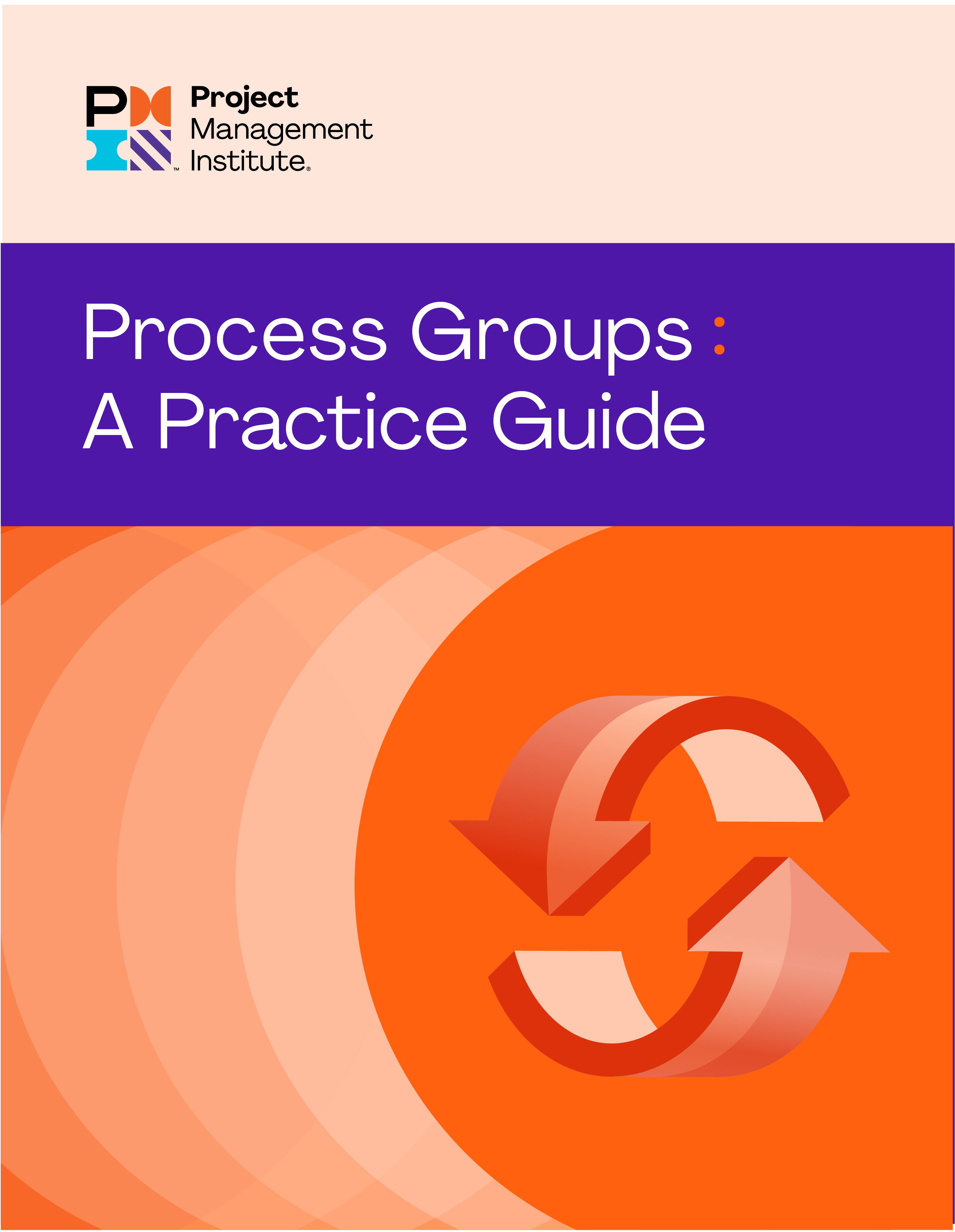 221103 process groups practice guide
